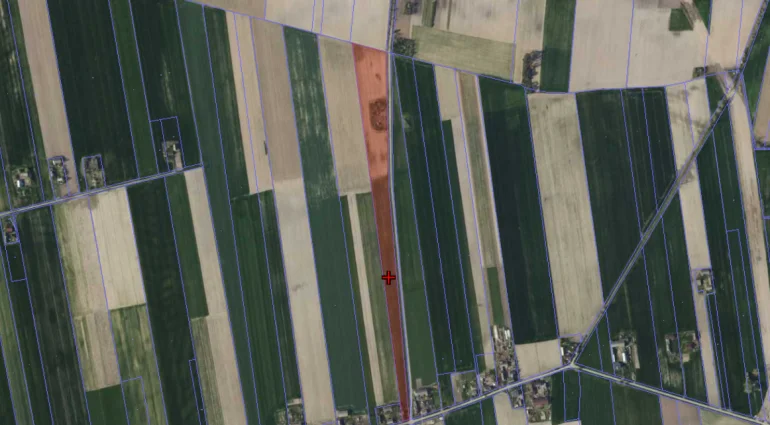 Sprzedam ziemię 3,18 ha - Biała, woj. łódzkie, gm. Żychlin