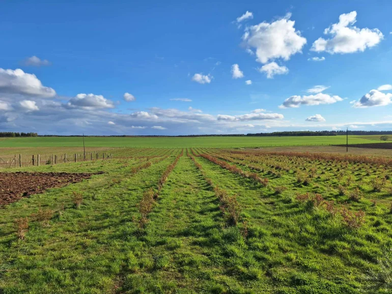 Na Sprzedaż teren ok. 6ha ( 59600 m2 ) w jednym kawałku