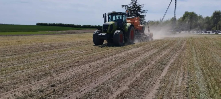 Siew pasowy rzepaku zbóż strip-till uprawa pasowa Mzuri