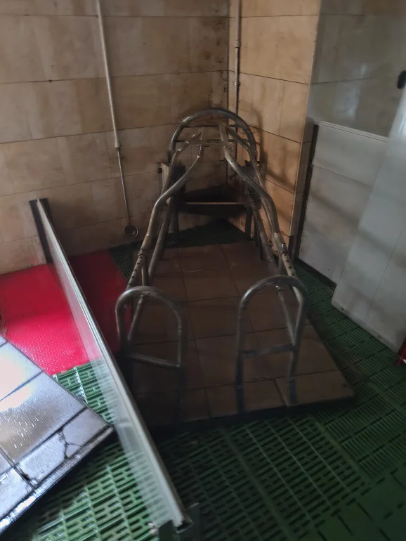 Wyposażenie chlewni