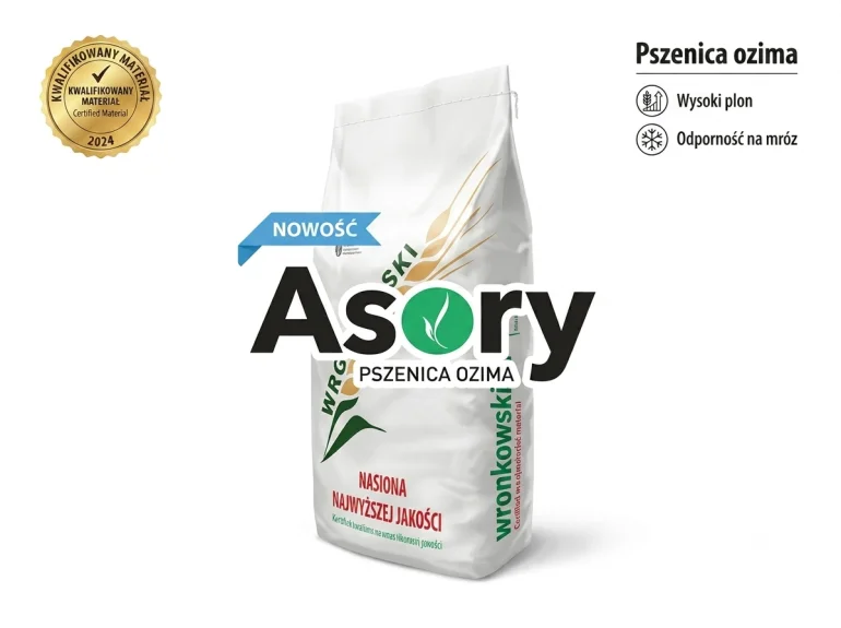 Pszenica ozima ASORY