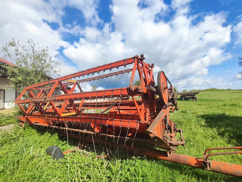 Sprzedam Bizona Z056