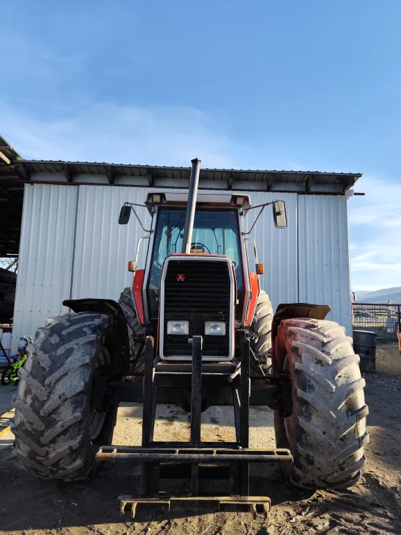 Traktor Massey Ferguson 3635