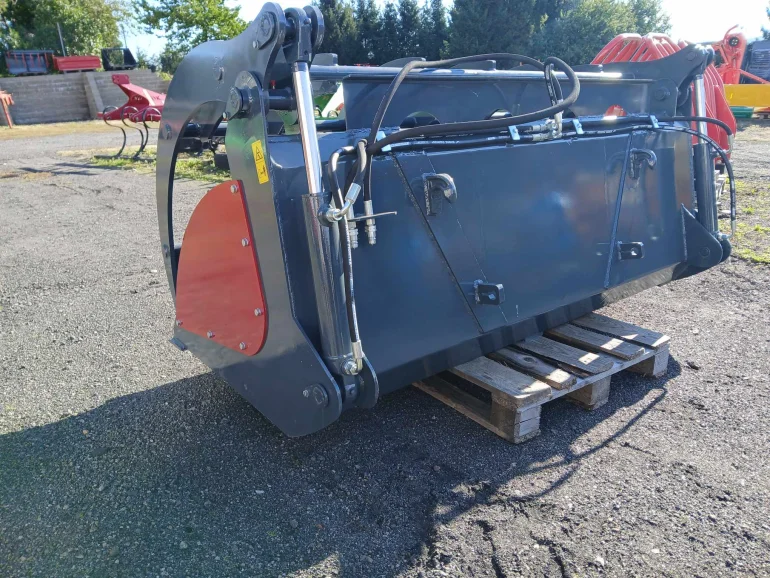 Łycho-krokodyl ząb palony