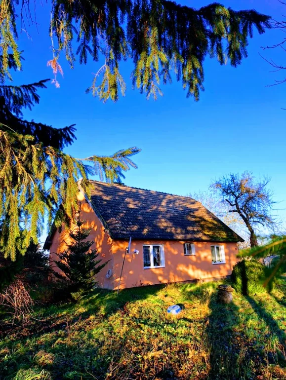 Na Sprzedaż unikatowe, stare Gospodarstwo na końcu wsi , z dala od sąsiadów !