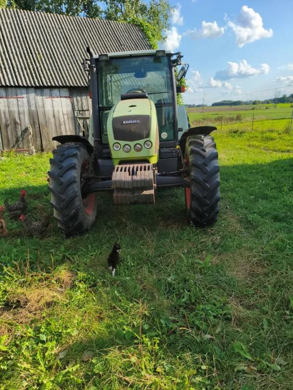 SPRZEDAM CIAGNIK NA NA ZDJECIU STAN BARDZO DOBRY