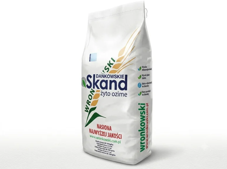 Żyto ozime DAŃKOWSKIE SKAND