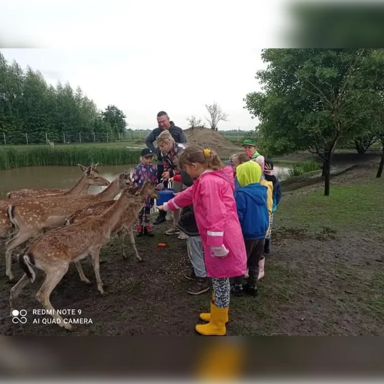 Możliwość odpłatnego transportu Daniel na sprzedaż