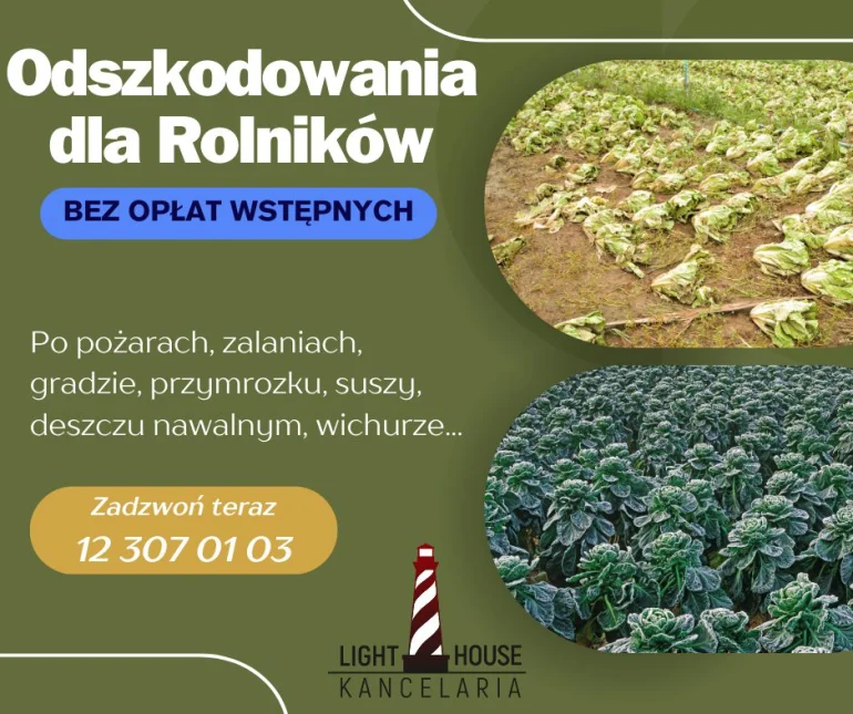 Odszkodowania dla rolników po szkodach w plonach, budnynkach i maszynach rolnych