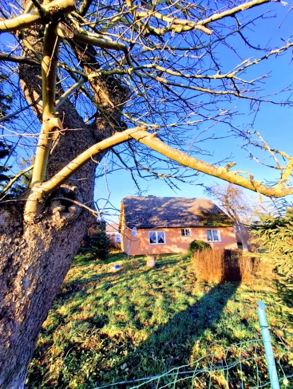 Na Sprzedaż unikatowe, stare Gospodarstwo na końcu wsi , z dala od sąsiadów !