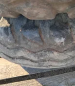 Koła 10.0/80-12 kompletne z felgami z obciążnikami Massey Ferguson 187