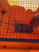 Piaskarka Drogowa Komunalna PK550 DOSTAWA gwarancja