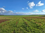 Na Sprzedaż teren ok. 6ha ( 59600 m2 ) w jednym kawałku