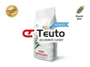 Jęczmień ozimy TEUTO