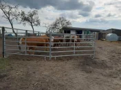 Mobilne wygrodzenia panele TEXAS dla bydła i koni