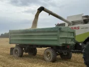 Przyczepa hw 80.11 forschritt hl 80 conow