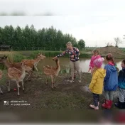 Możliwość odpłatnego transportu Daniel na sprzedaż