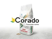Pszenżyto ozime CORADO