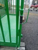 Elektroniczna waga do bydła