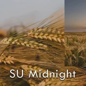 Jęczmień ozimy SU MIDNIGHT