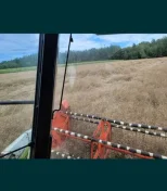 Stół przystawka do rzepaku Biso do claas 5.1 m C510