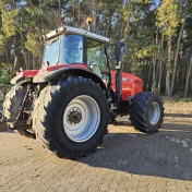 Massey ferguson 8270 Oryginał sprowadzony