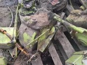 Skrzynia biegów claas consul stary typ