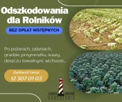 Odszkodowania dla rolników po szkodach w plonach, budnynkach i maszynach rolnych