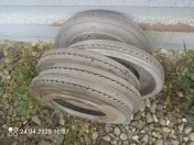 Tarczki wyśmiewające do siewnika