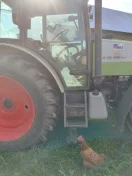 SPRZEDAM CIAGNIK NA NA ZDJECIU STAN BARDZO DOBRY