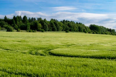 Odszkodowania za represje wobec rolników