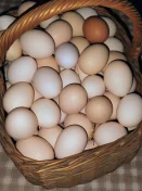 Jajka kurze RHD