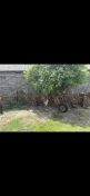Przetrząsacz / zgrabiarka do siana