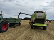 Przyczepa hw 80.11 forschritt hl 80 conow