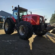 Massey ferguson 8270 Oryginał sprowadzony