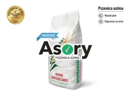 Pszenica ozima ASORY