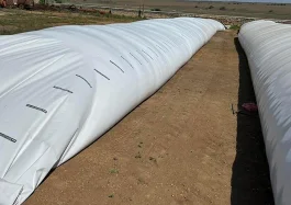 Rękaw foliowy kiszonkarski SOTRAFA 5' 799 zł