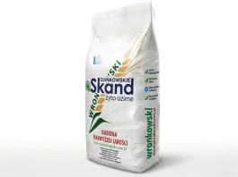 Żyto ozime DAŃKOWSKIE SKAND