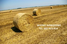 WAPNO NAWOZOWE -WĘGLANOWE Z KOPALNI WAPIENIA MORAWICA