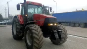 Case MX 135 Świeżo sprowadzony