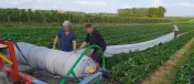 Zwijarka agrowłókniny Maszyna do zwijania folii Sadrim Truskawka kapu